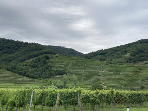 Wachau-5